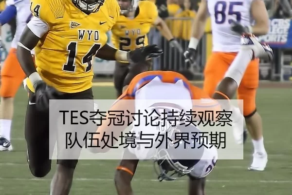 TES夺冠讨论持续观察 队伍处境与外界预期